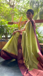 Chic Harit Aruna Pre-draped Kanjivaram Saree for an effortlessly graceful look - Drape In A Minute Sarees